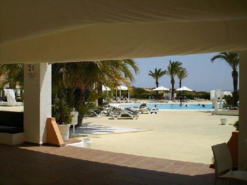 Urlaub im Destino Pacha Ibiza  - hier günstig online buchen
