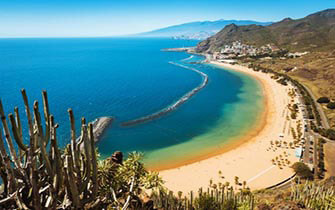 Urlaub im Oasis Wildlife Fuerteventura R2 Rio Calma 2024/2025 - hier günstig online buchen